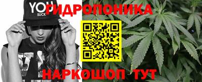 дмт Новодвинск
