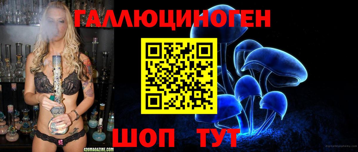 Псилоцибиновые грибы мицелий  Вход с VPN  Владикавказ 